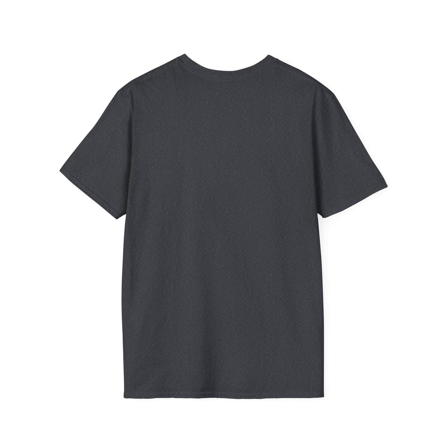 Divine Mercy Graphic TShirt
